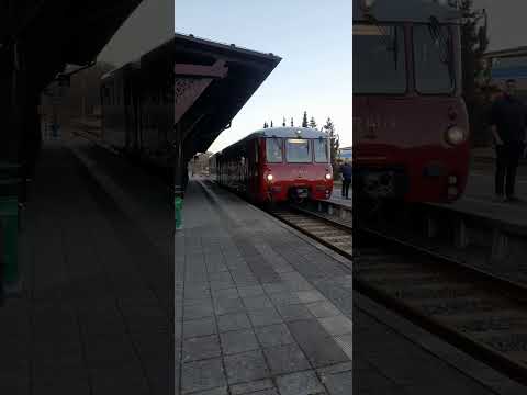 172 140 mit 172 141 verlassen den Bahnhof Putbus in Richtung Lauterbach Mole #BR172 #BR772 #PRESS