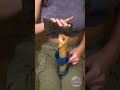 リサイクルアイデア！プラスチックボトルで作るエコロープ