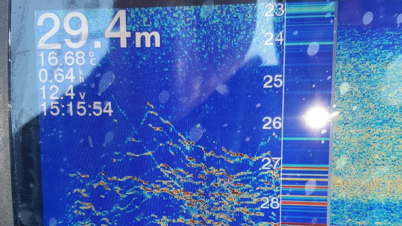 Ψάρεμα με βυθόμετρο, Δες την αρματωσιά σου και τα ψάρια 💯%fishing tips!