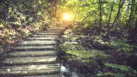 After Effects project - Dust Bokeh Pack