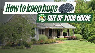 How to Keep Bugs Out of Your Home