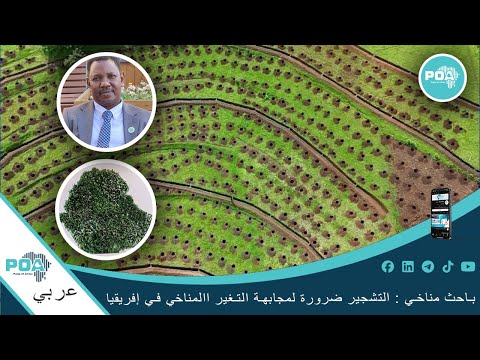 البصمة الخضراء لقاء مع الدكتور أبوالقاسم إبراهيم