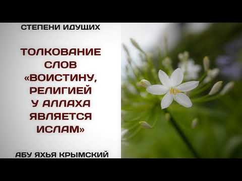171. Воистину, религией у Аллаха является Ислам || Абу Яхья