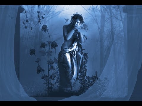 Vivaldi ♥ Apri le luci e mira