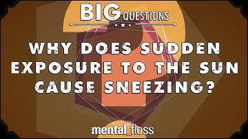 Why does sudden exposure to the sun cause sneezing?  - Big Questions - (Ep. 216) | Mental Floss