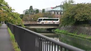 平安神宮まで