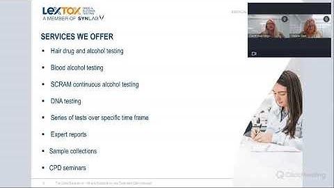 The Client Experience – What to Expect from your Dedicated Client Manager