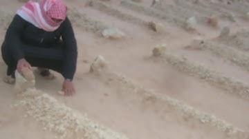 قراءة مؤثرة أواخر سورة الفجر في صلاة العشاء