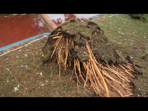 Temporal en Ras Al Khaimah 26 11 18