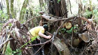 Searching for an 80 year old tractor abandoned in the woods