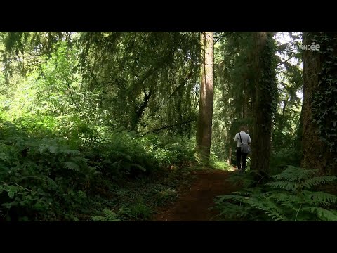 Vidéo : Randonnée dans le bocage vendéen : le Pays de la Châtaigneraie à pied