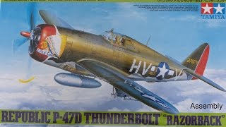 Tamiya 1/48 Scale Republic P-47D Thunderbolt 
