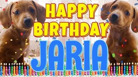 Happy Birthday Jaria! ( Funny Talking Dogs ) What Is Free On My Birthday