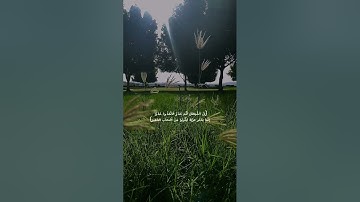 ما تيسر من سورة فاطر للقارئ هيثم الدخين 🍀💛