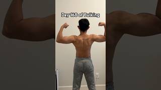 Day 168 Of Bulking Series gym viral fitness back fyp trending shorts