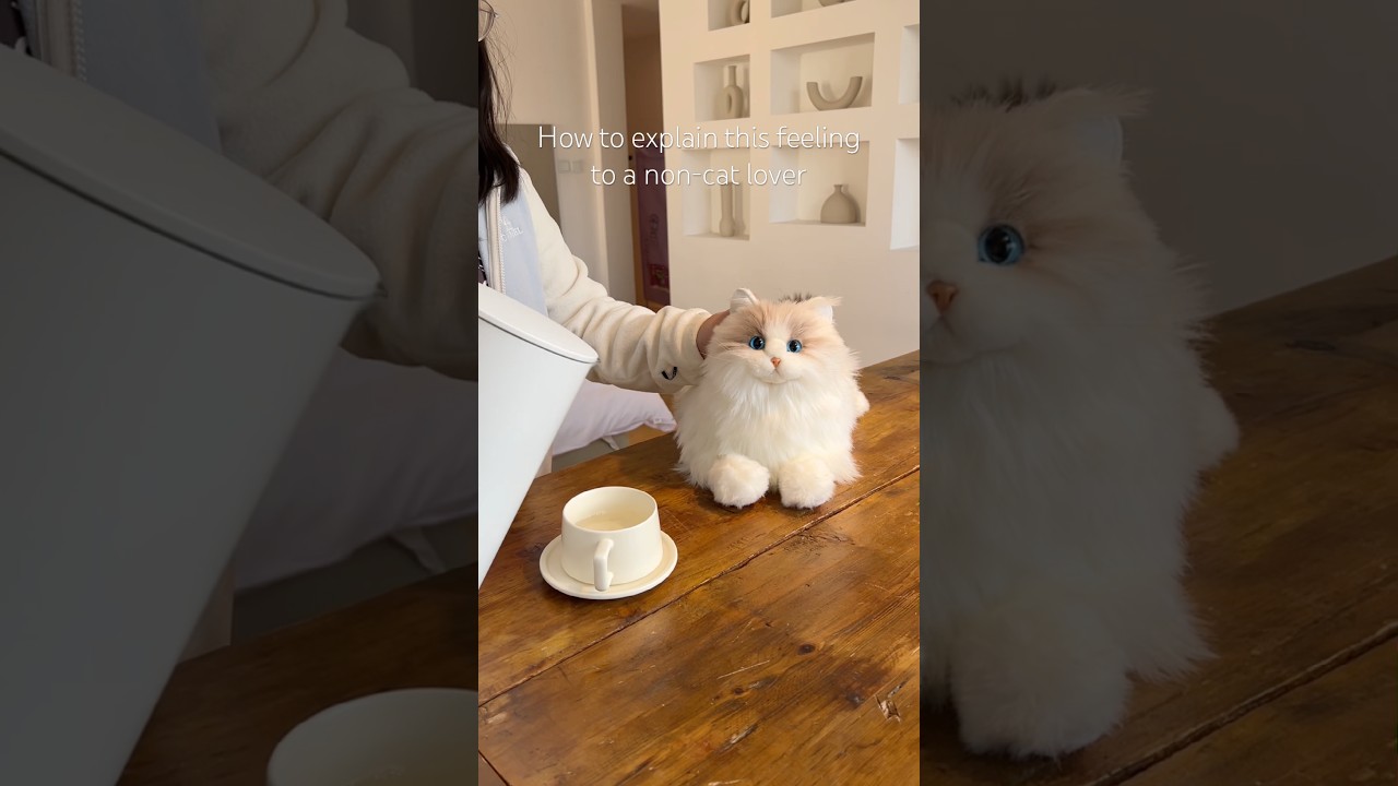 Вам нужен этот робот-кот-компаньон 😎 