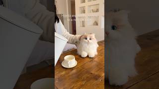 You need this companion robot cat😎 #chongker #cat #robotanimal #robotcat #chongkerplush You need this companion robot cat😎 #chongker #cat #robotanimal #robotcat #chongkerplush