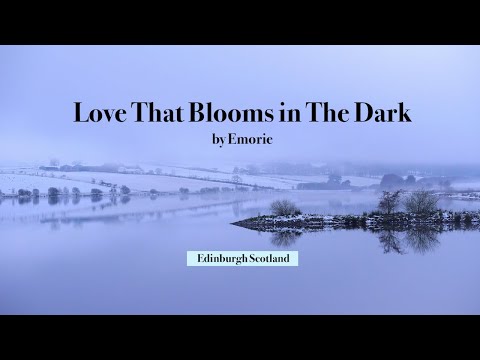 Love That Blooms In The Dark by Emorie | Edinburgh, Scotland by David Wheater