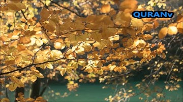 اروع تلاوات للشيخ ماهر المعيقلي سنة 2017/2018 وتصوير HD * لا حول ولا قوة الا بالله *