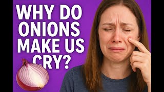 🧅Why Do Onions Make Us Cry?🧅