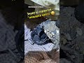 Samsung не зливає воду