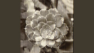 Strange Blooms I - The Resilience of Roots