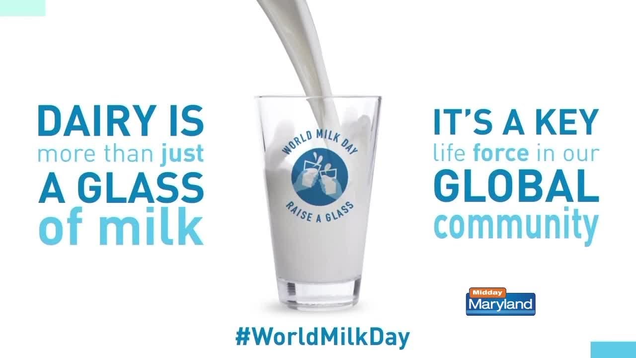 American Dairy Association North East World Milk Day YouTube