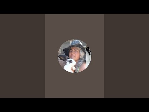 Fazendinha Coelhos da Andreia está ao vivo!