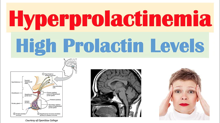 What can stimulate prolactin? (2023)