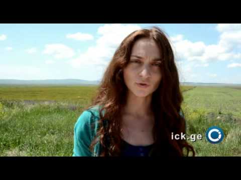 არასამთავრობო ორგანიზაციების შეფასება