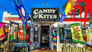 Detailed 17 Best Things to Do in Bodega Bay, CA Profile