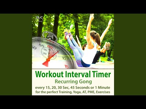 30 Seconds Interval Timer: 10 Minutes Recurring Gong Every 30 Seconds for Workout, Yoga,...