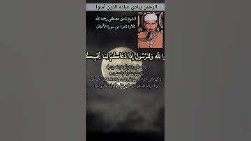 يا أيها الذين آمنوا استجيبوا لله وللرسول اذا دعاكم لما يحييكم #الانفال #ملا_نامق_مصطفى التلاوةمنشورة