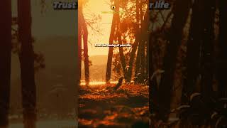 Trust the timing of your life ⏳shorts relaxingmusic relaxing