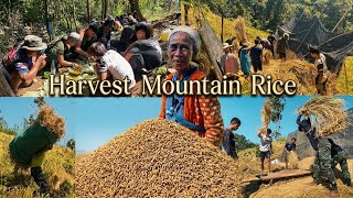 Karenni Farmers: Harvesting Mountain Rice Oct 21, 2026