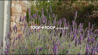 10 Sherwood Terrace Glen Osmond 10 Sherwood Terrace Glen Osmond