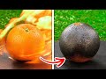 BREATHTAKING DIY EXPERIMENTS With Common Objects || Food Experiments, Water And Slime Tricks