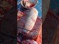 fish cutting,,,