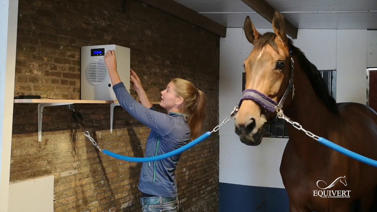 Zouttherapie Halotherapie