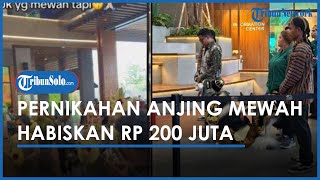 Orang Kaya Bebas, Gelar Pernikahan Anjing Mewah Pakai Adat Jawa dan Habiskan Rp200 Juta