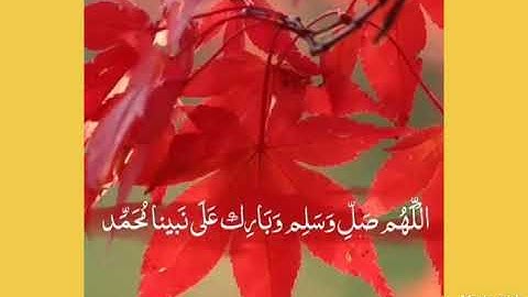 وإذ استسقي موسى لقومة الشيخ جابر شرقاوي جامع سيدي عمر صلاة العشاء ماتيسر من سورة البقرة