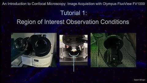 Tutorial 1: Region of Interest Observation Conditions