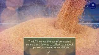 The Role of Technology in Agriculture