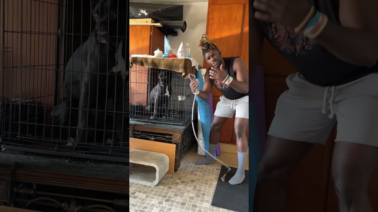 The Most Common Issue For Dog Owners 🤧 ~ #dogtips #dogtraining #dogtrainingtips #boxerpuppy