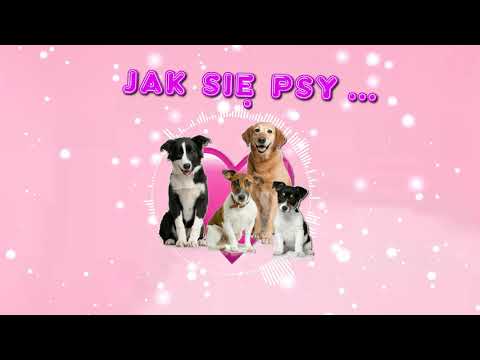 Wideo: Jak Odeprzeć Psy