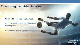 Modified Bent Knee Stretch Test for hamstrings [ENG]