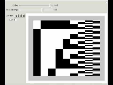 Animated Binary