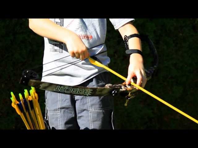 Martin Bobcat Compound Bow