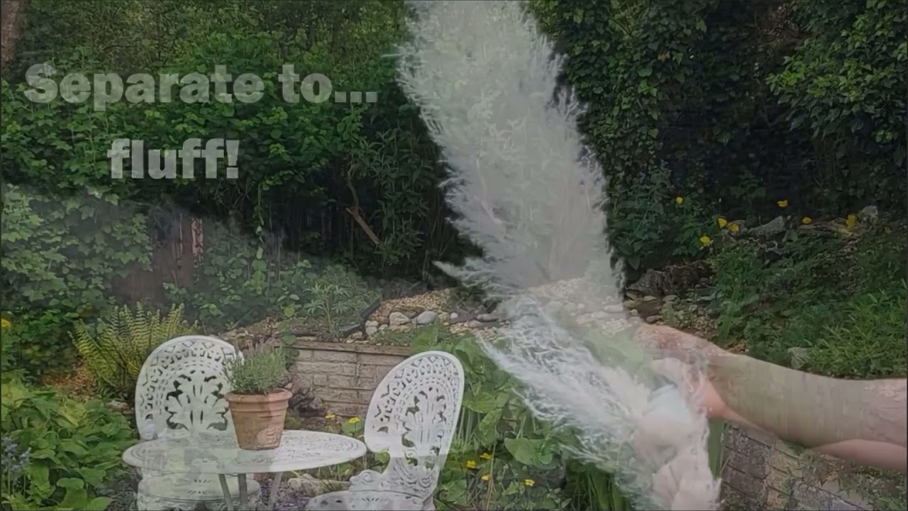 How To Treat Your Pampas Grass On Arrival YouTube