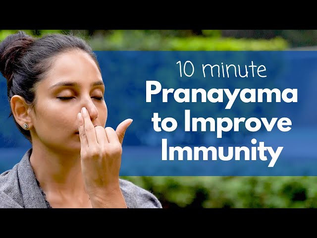 10 Minute Pranayama to Increase Immunity | इम्यूनिटी बढ़ाने के लिए प्राणायाम @satvicyoga class=